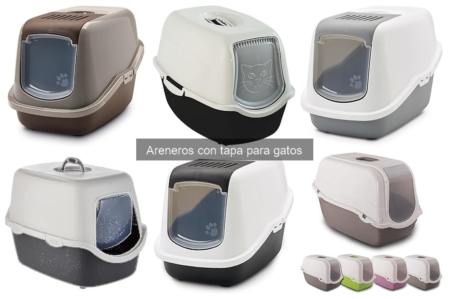 Areneros con tapa para gatos: Ventajas y beneficios