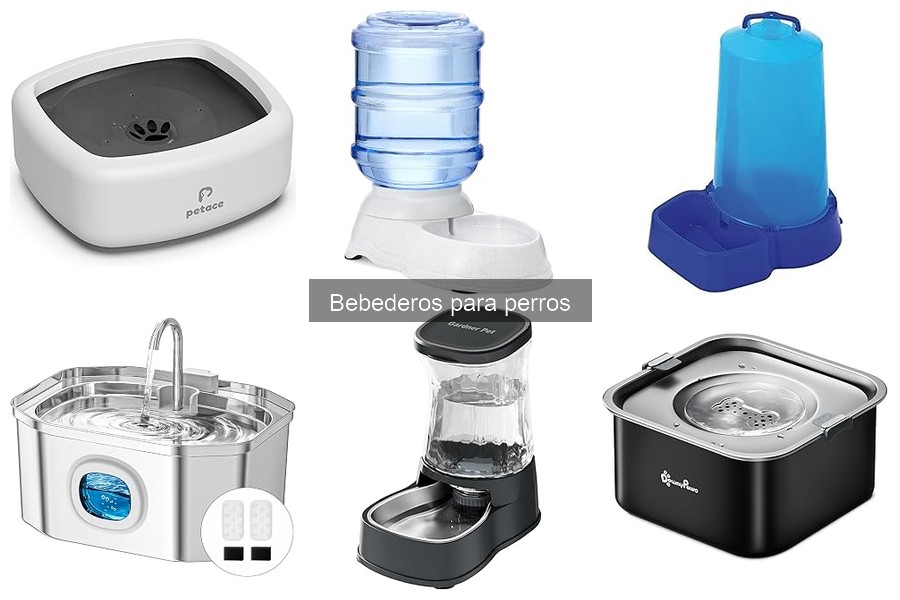 Bebederos Automáticos para Perros: ¿Qué Son y Cómo Funcionan?