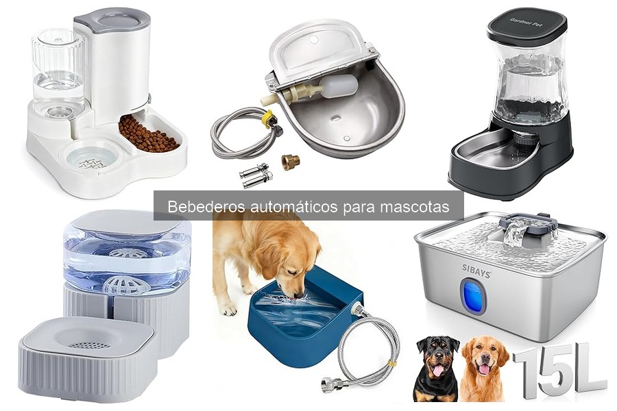 Bebederos automáticos silenciosos para perros y gatos: ¿existen?