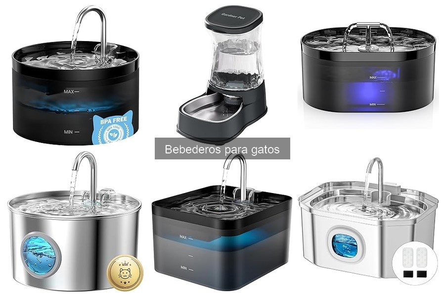 Bebederos para gatos que evitan el desbordamiento