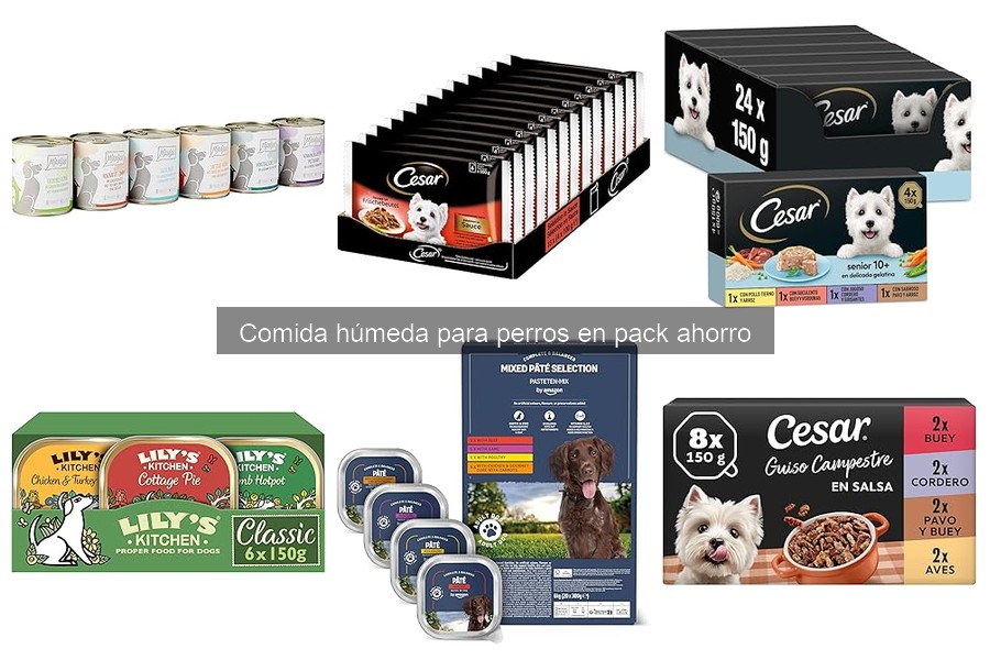 Beneficios de combinar comida húmeda y seca para perros