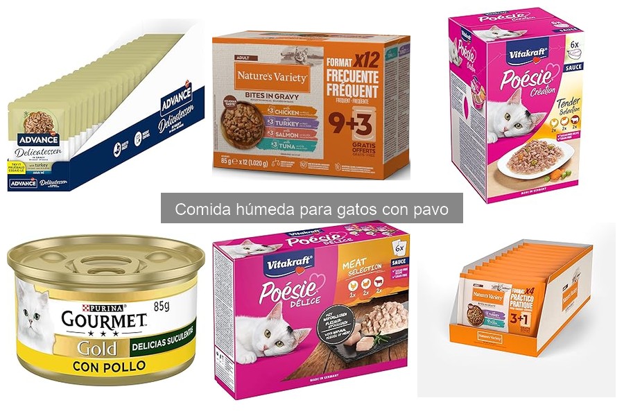 Beneficios de elegir pavo en la comida húmeda para gatos