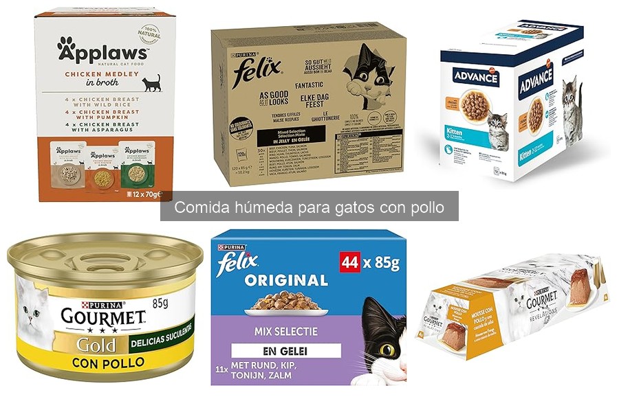 Beneficios de la comida húmeda con pollo para gatos
