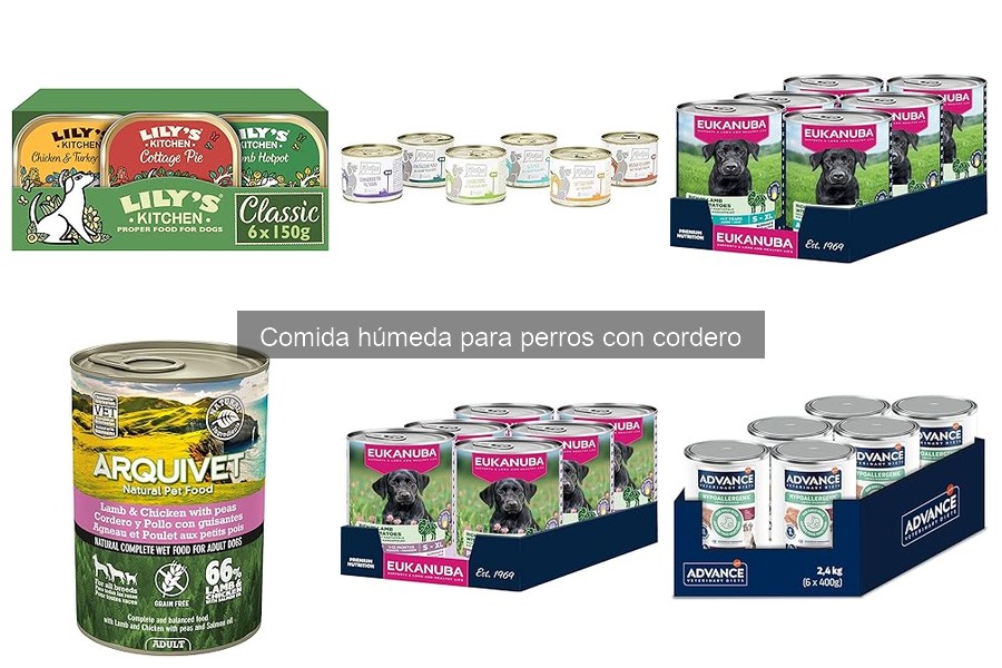 Beneficios de la comida húmeda de cordero para perros