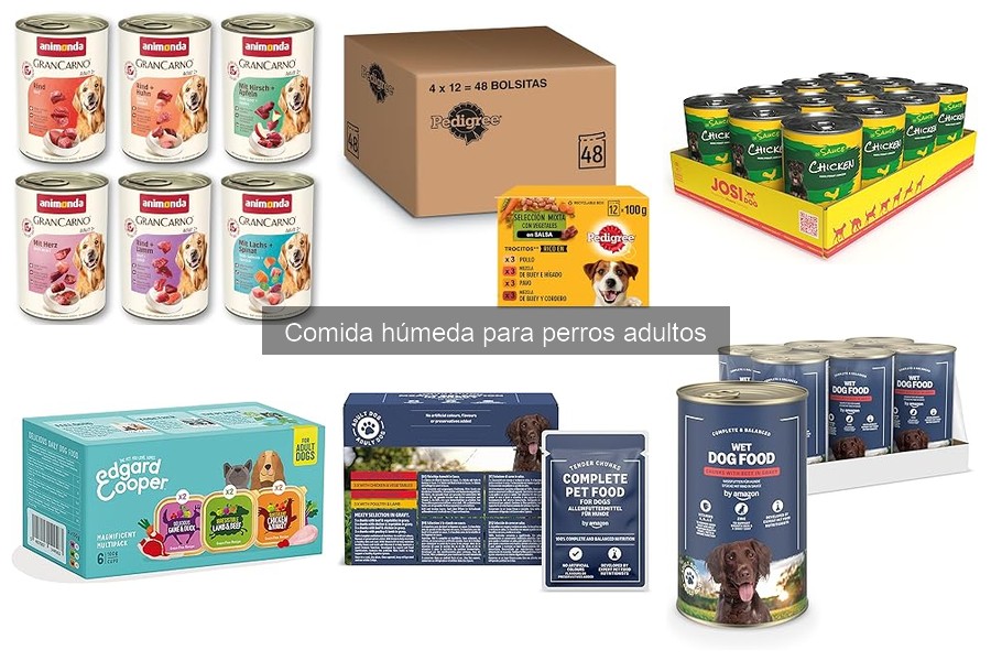 Beneficios de la Comida Húmeda en la Hidratación de Perros