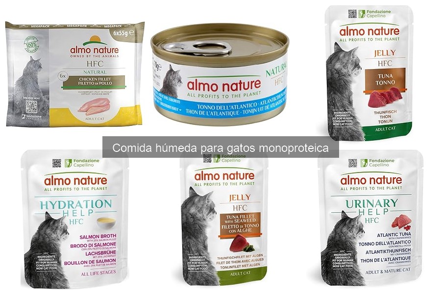 Beneficios de la comida húmeda monoproteica para gatos