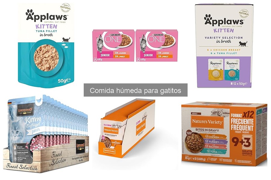 Beneficios de la comida húmeda para gatitos frente a la seca