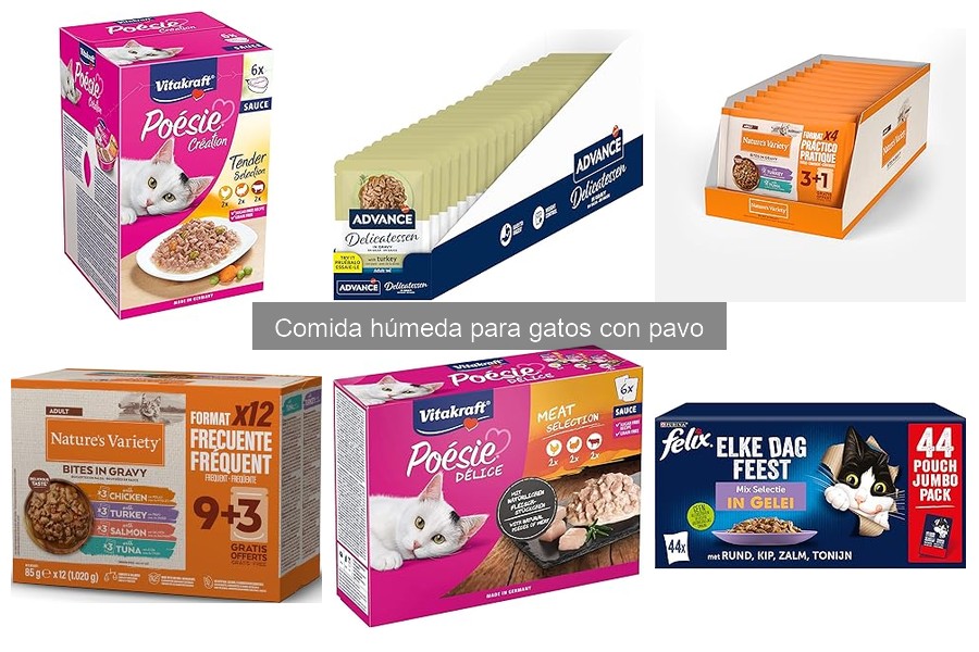 Beneficios de la Comida Húmeda para Gatos con Pavo
