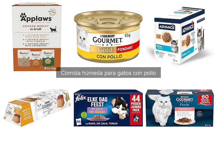 Beneficios de la Comida Húmeda para Gatos con Pollo