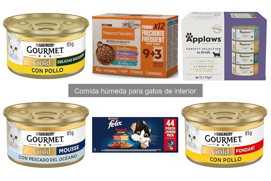 Beneficios de la comida húmeda para gatos de interior