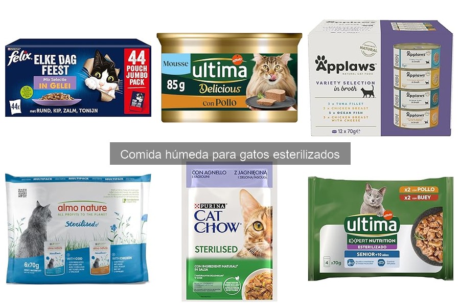 Beneficios de la Comida Húmeda para Gatos Esterilizados