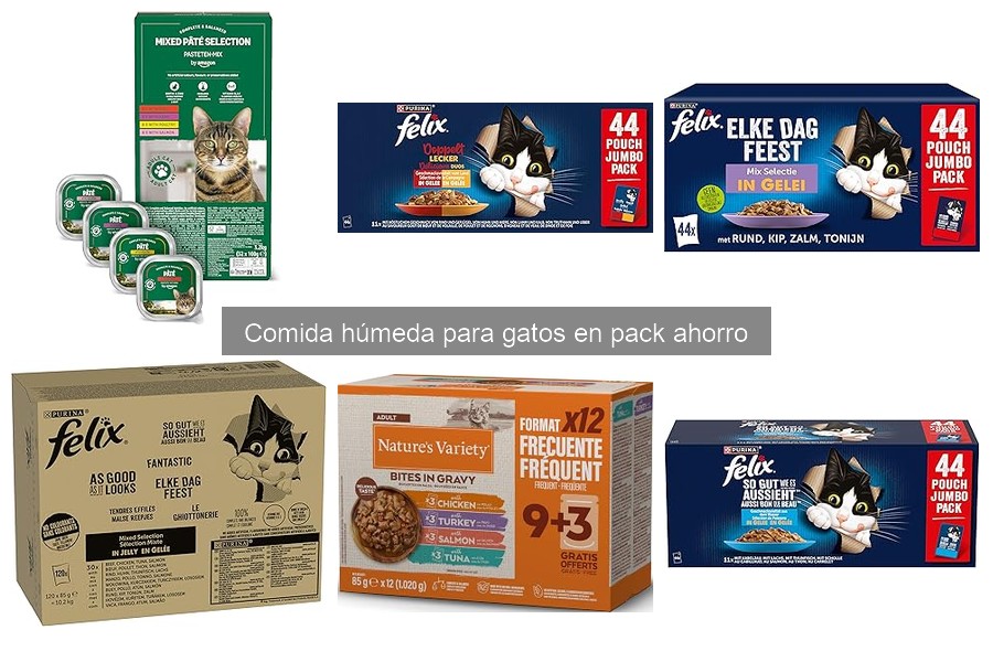 Beneficios de la Comida Húmeda para Gatos: Ventajas y Más