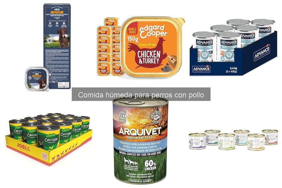 Beneficios de la comida húmeda para perros con pollo