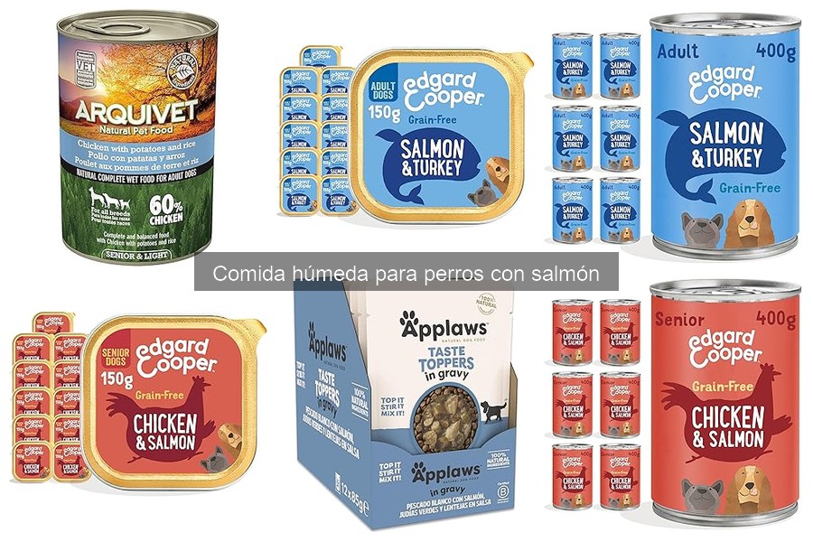 Beneficios de la comida húmeda para perros con salmón
