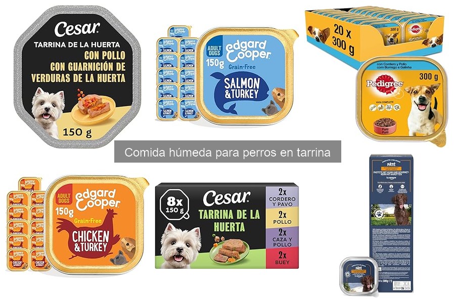 Beneficios de la comida húmeda para perros en tarrina