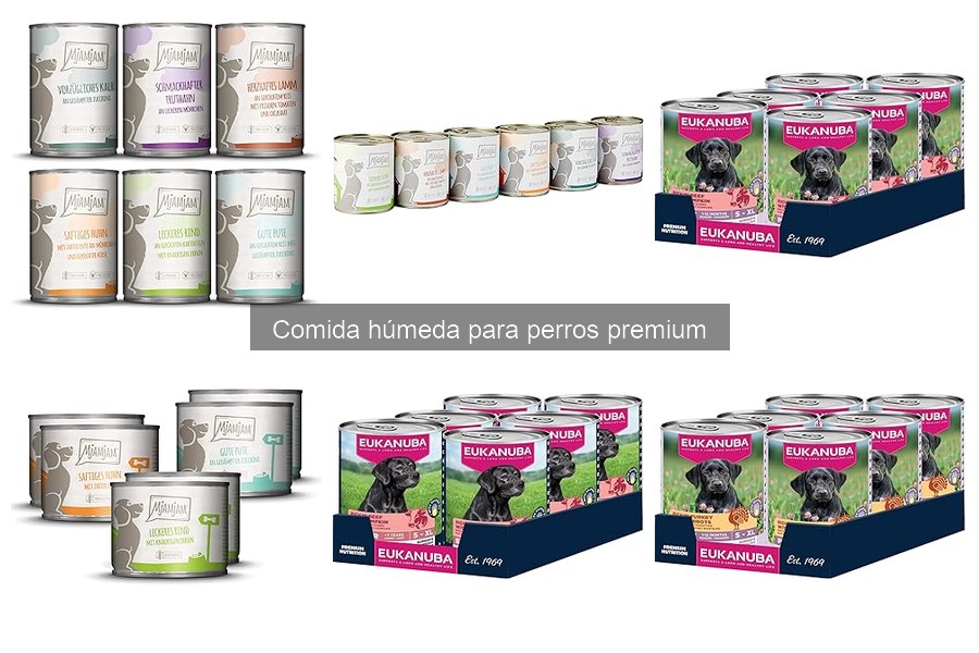 Beneficios de la comida húmeda para perros frente a la seca