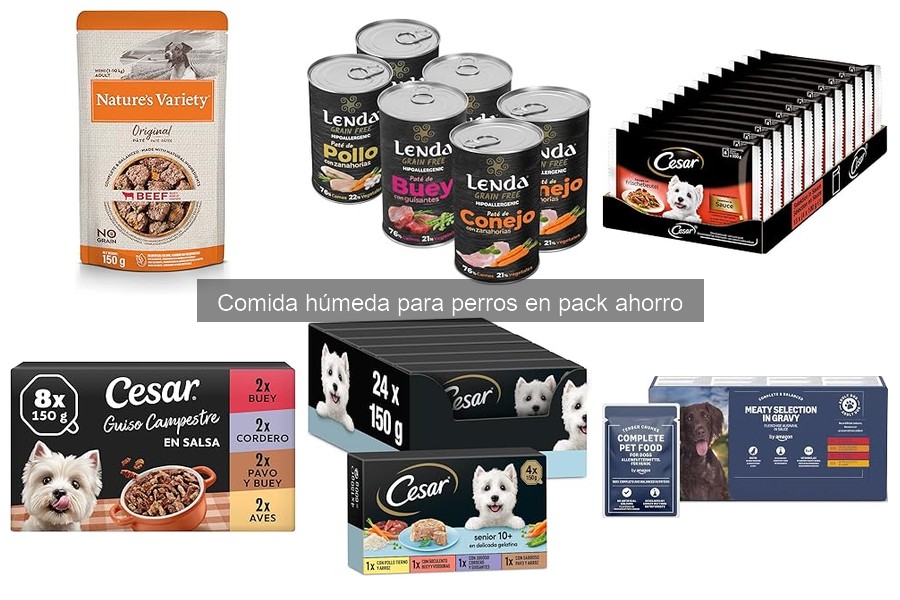 Beneficios de la comida húmeda para perros: ¿Por qué elegirla?