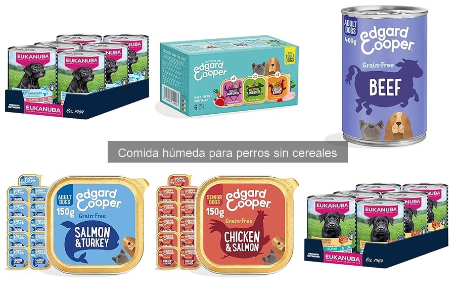 Beneficios de la comida húmeda para perros sin cereales