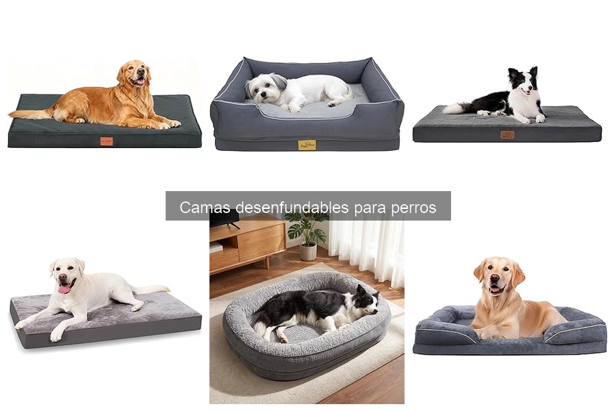 Beneficios de las camas desenfundables para perros alérgicos