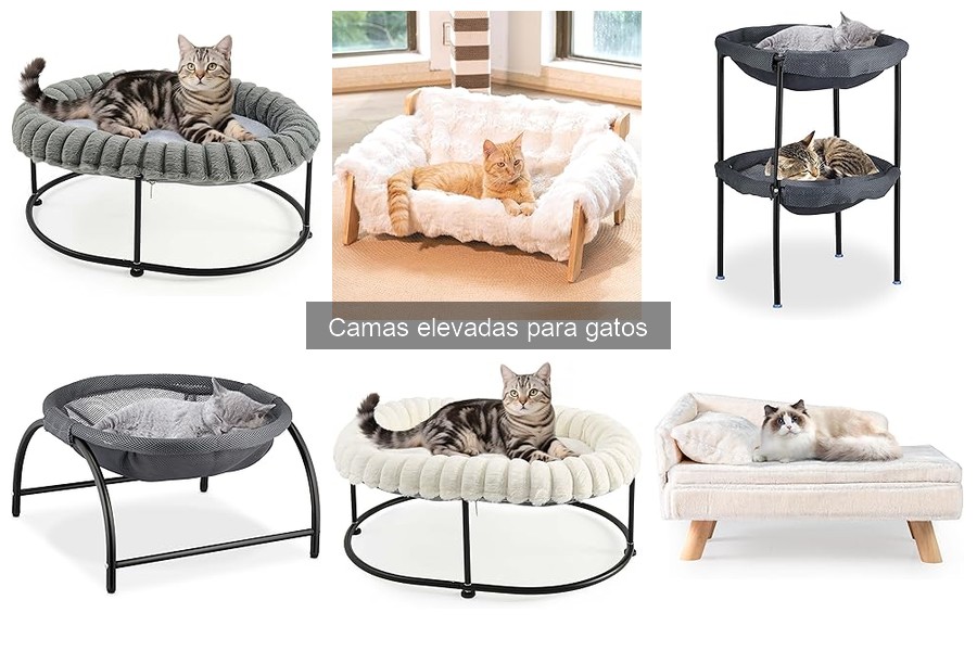 Beneficios de las camas elevadas para gatos | Guía 2023