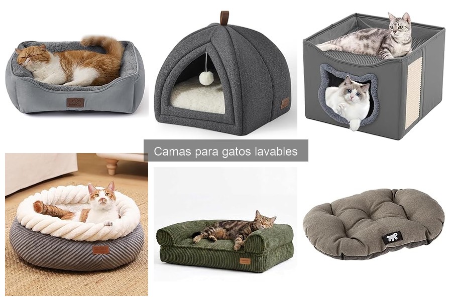 Beneficios de las camas lavables para gatos
