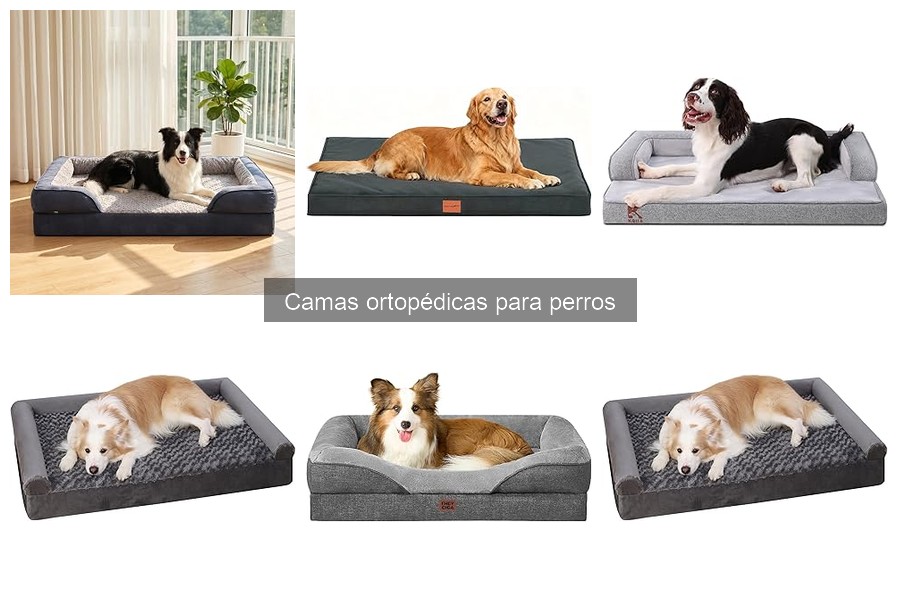 Beneficios de las camas ortopédicas para perros