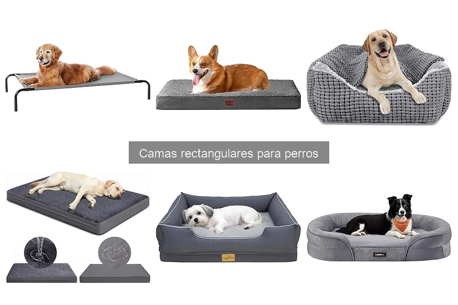 Beneficios de las camas ortopédicas rectangulares para perros