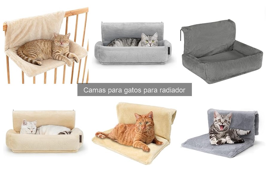Beneficios de las camas para gatos en radiadores