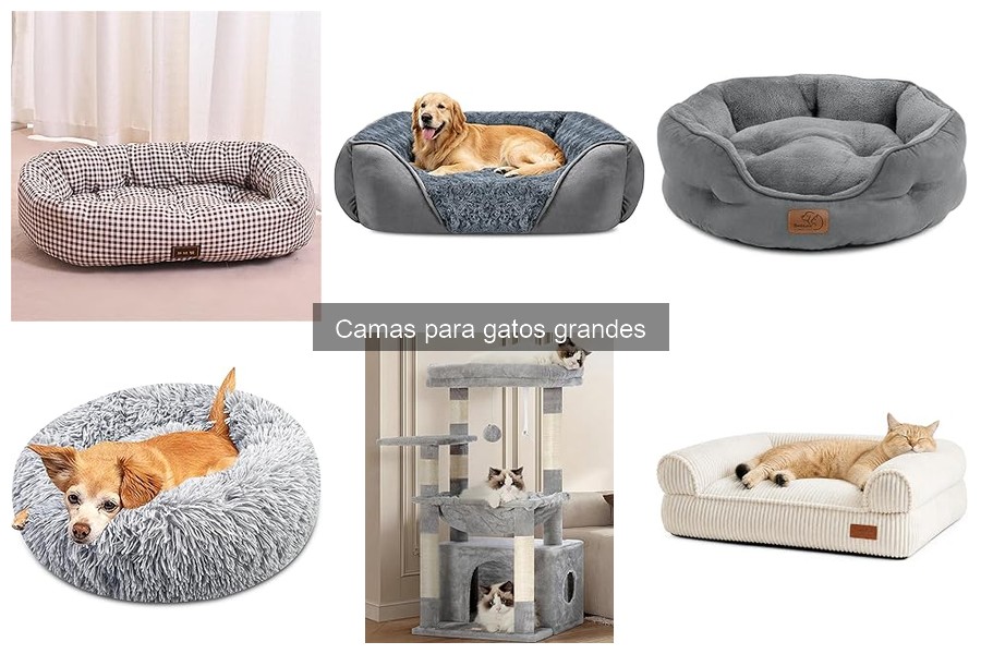 Beneficios de las camas para gatos grandes: comodidad y salud