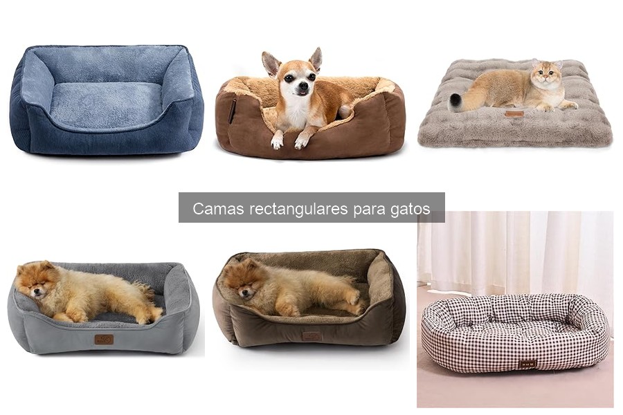 Beneficios de las Camas Rectangulares para Gatos