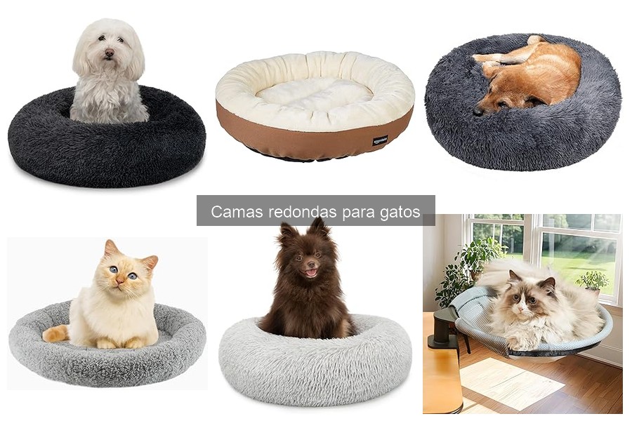 Beneficios de las camas redondas para gatos