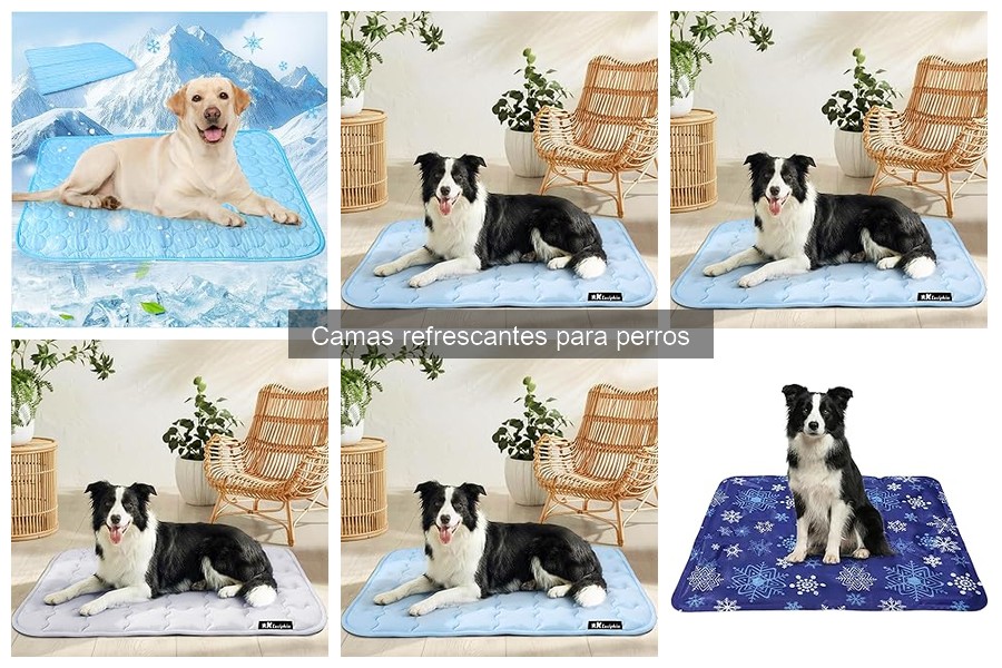 Beneficios de las camas refrescantes para perros en verano