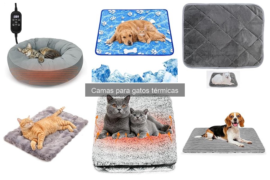 Beneficios de las camas térmicas para gatos en climas fríos