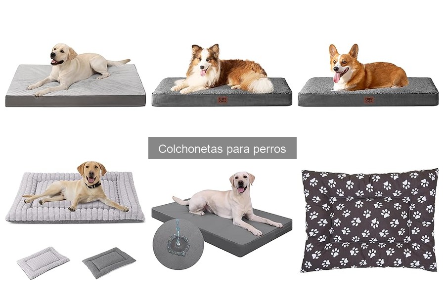 Beneficios de las Colchonetas para Perros en Interiores y Jardín