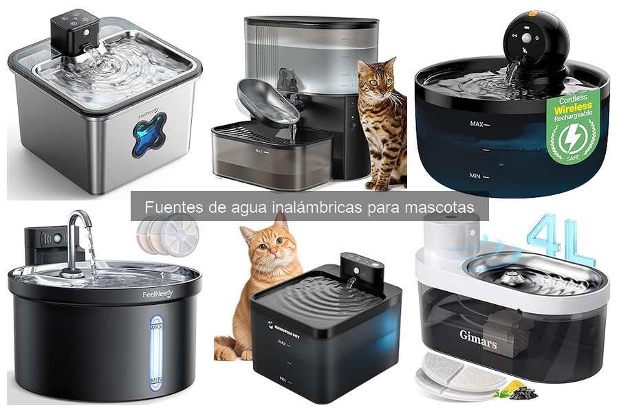Beneficios de las Fuentes de Agua Inalámbricas para Mascotas