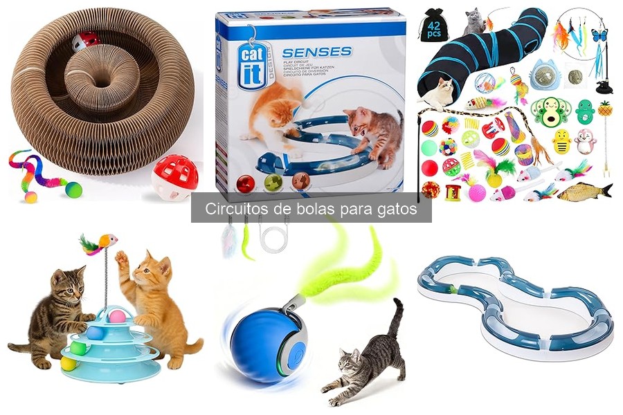 Beneficios de los circuitos de bolas para la salud de los gatos