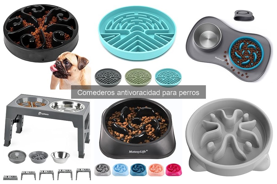 Beneficios de los Comederos Antivoracidad para la Salud Canina