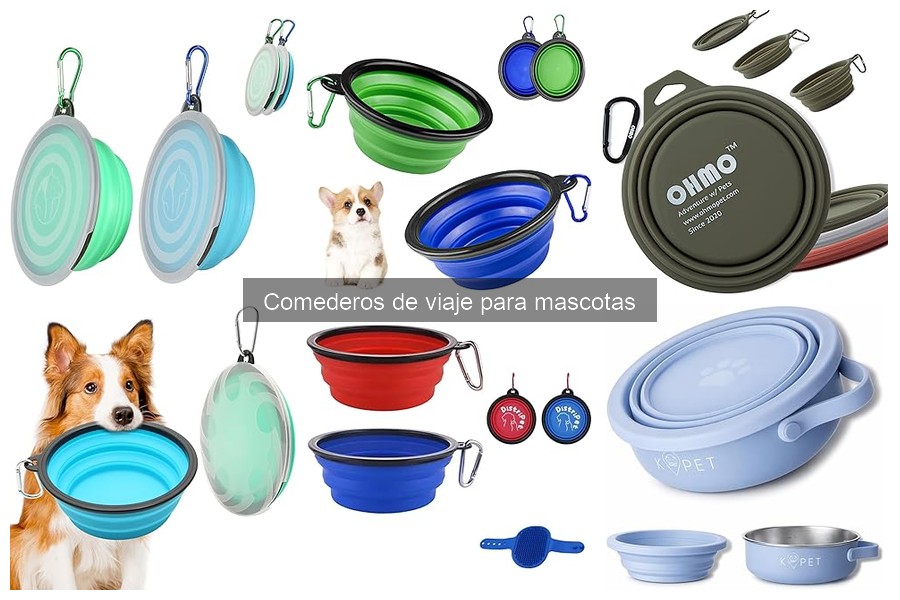 Beneficios de los Comederos de Viaje para Mascotas