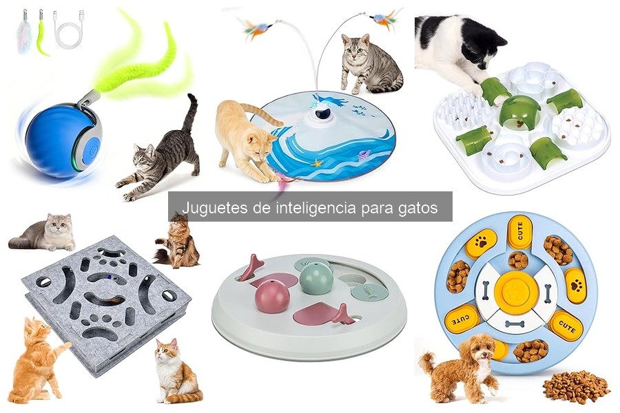 Beneficios de los juguetes de inteligencia para gatos