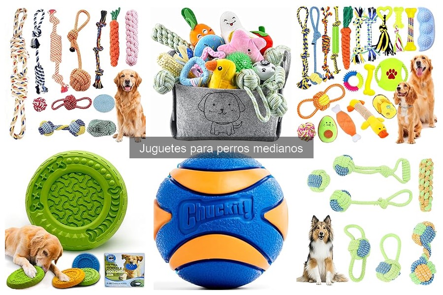 Beneficios de los juguetes de masticación para perros medianos