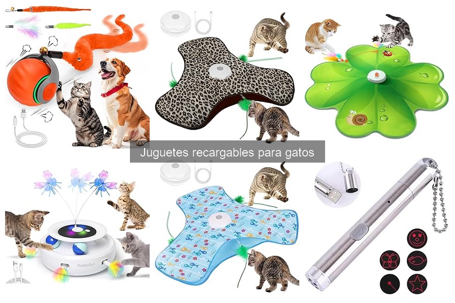 Beneficios de los Juguetes Recargables para Gatos