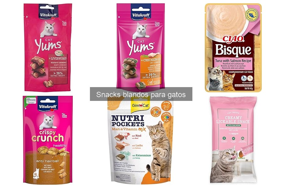 Beneficios de los snacks blandos para gatos | Mejora su salud