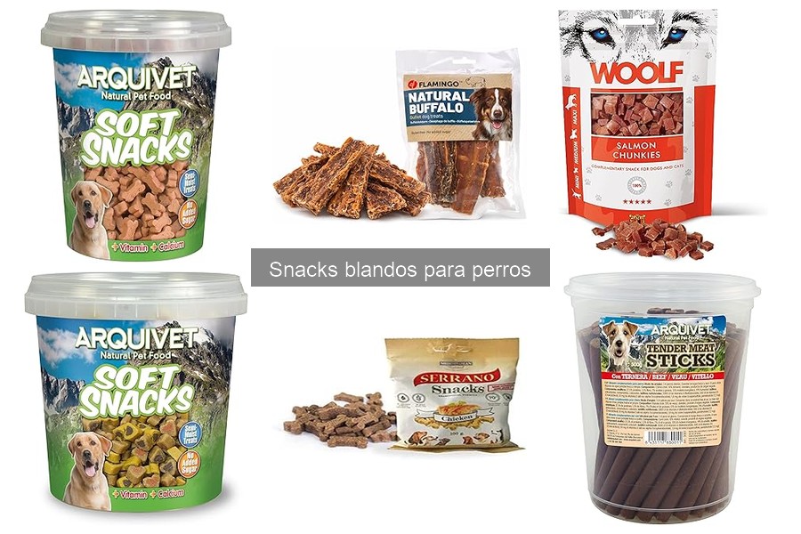 Beneficios de los snacks blandos para perros: ¡Descúbrelos!