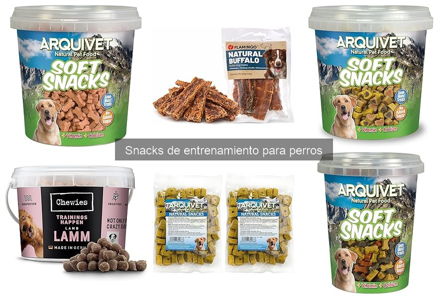 Beneficios de los Snacks de Entrenamiento para Perros