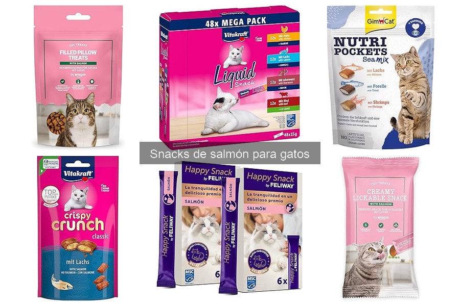 Beneficios de los snacks de salmón para gatos