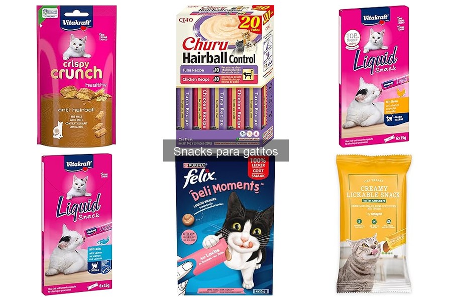 Beneficios de los Snacks para Gatitos: Salud y Nutrición