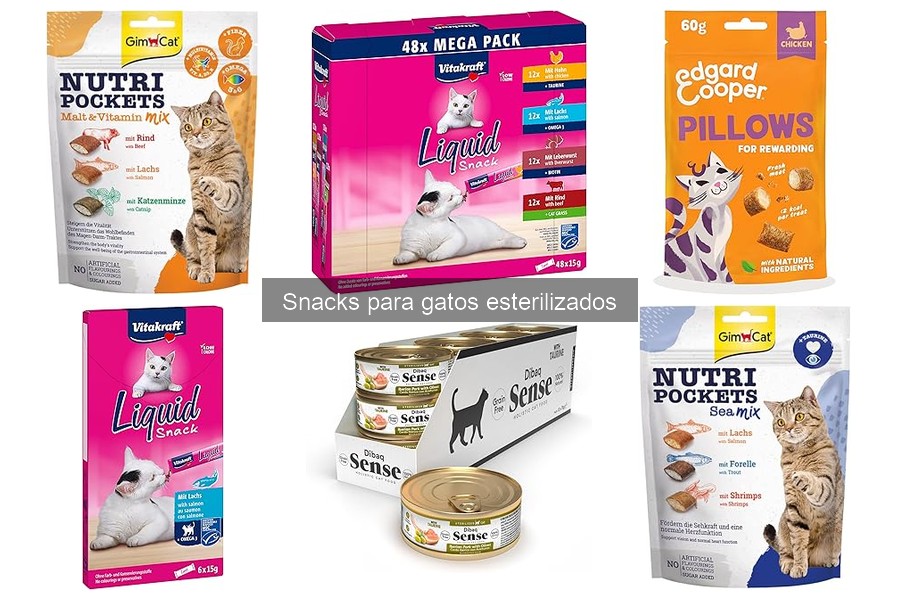 Beneficios de los Snacks para Gatos Esterilizados