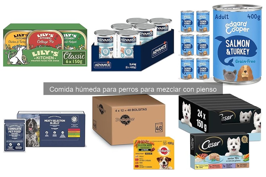 Beneficios de mezclar comida húmeda con pienso para perros
