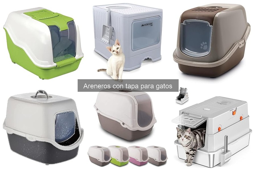 Beneficios de usar areneros con tapa para gatos