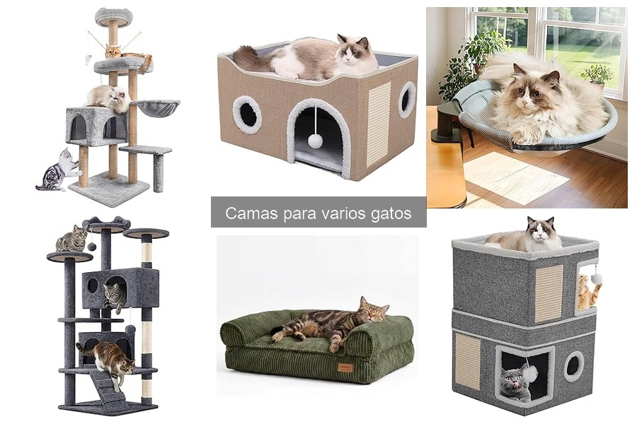 Beneficios de usar camas diseñadas para gatos